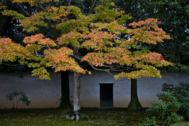 Zuishin-in Garden 11-3180.jpg